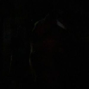 Meet your Posher, Erickita